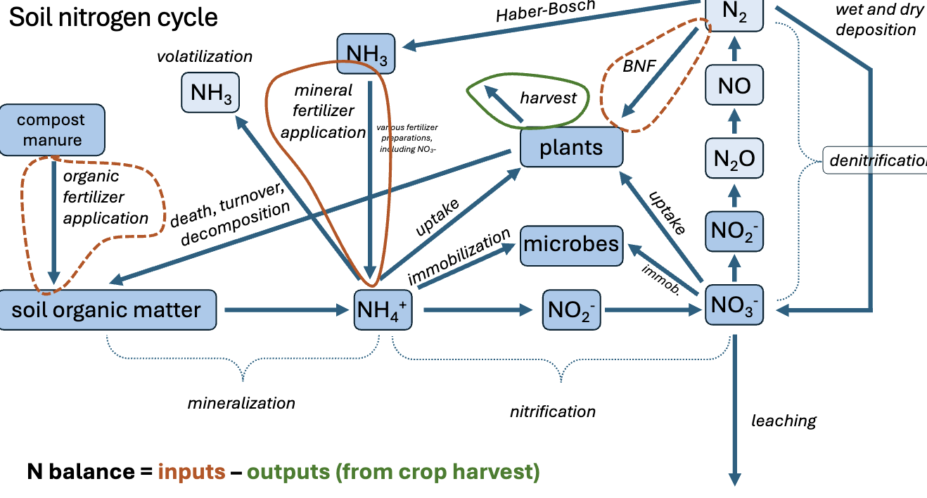 <p>The process through which nitrogen is converted between its various chemical forms, moving from the atmosphere into the soil and living organisms before returning to the atmosphere. </p>