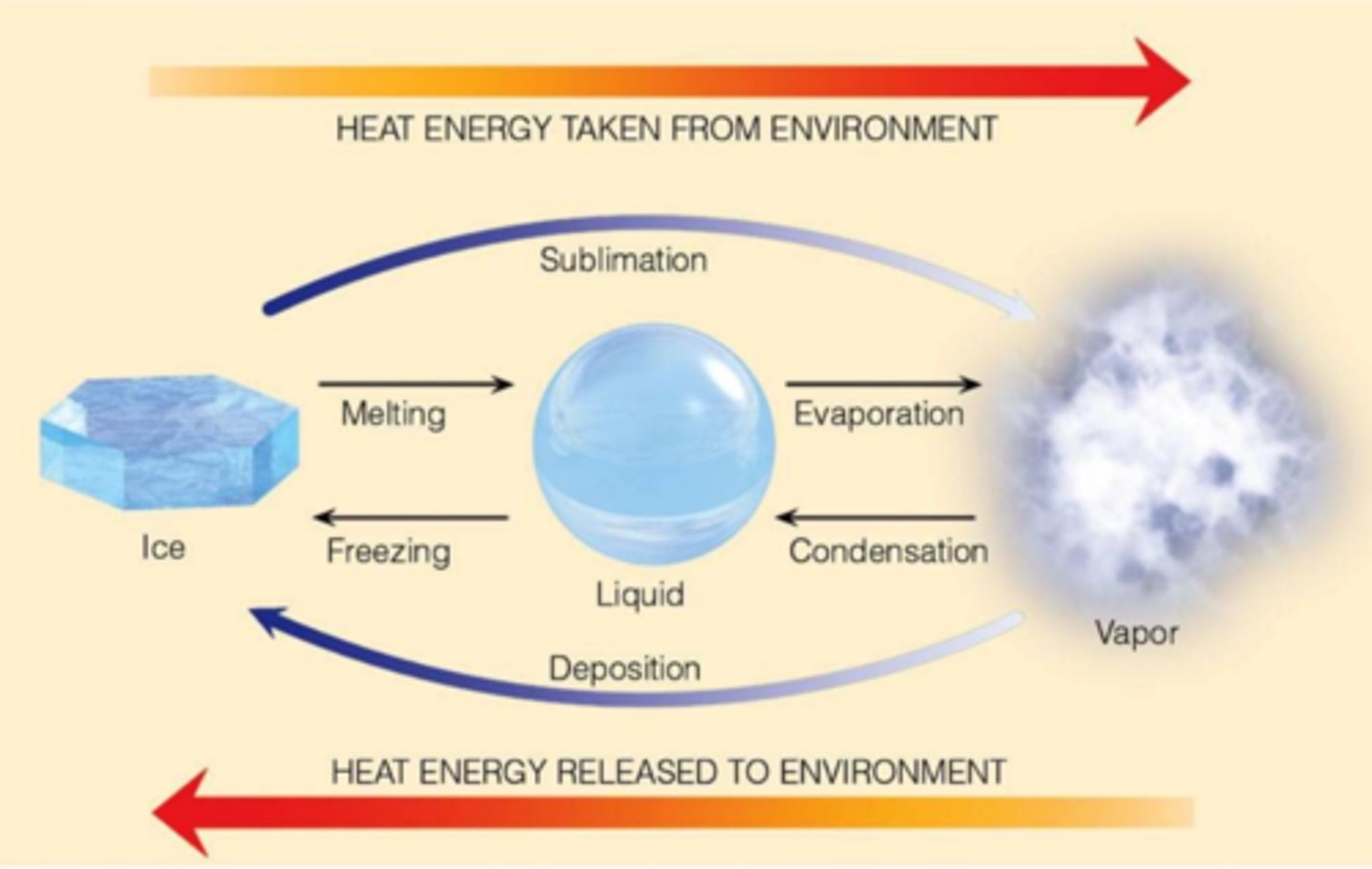 <p>determines air circulation pattern, release of energy as heat when water vapor condenses into precipitation (clouds)</p>