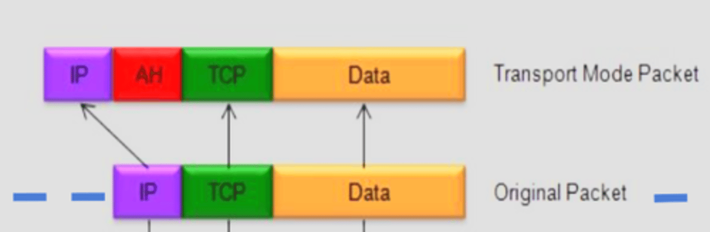 <p>AH header placed between original IP and payload for end-to-end authentication/integrity</p>