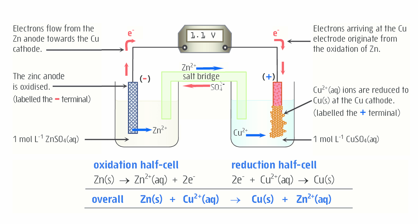 <p>Uses copper sulfate as the oxidizing agent and zinc metal as the reducing agent. </p><p><span>Zinc metal (Zn) loses electrons and turns into zinc ions (Zn<sup>2+</sup>), which dissolve into the zinc sulfate solution.&nbsp;The electrons released by the oxidation of zinc and flow to the copper electrode</span></p><p><span>Copper ions from the electrolyte (ions dissolved in the liquid) move from to the copper electrode (conductor) to gain these electrons.</span></p>