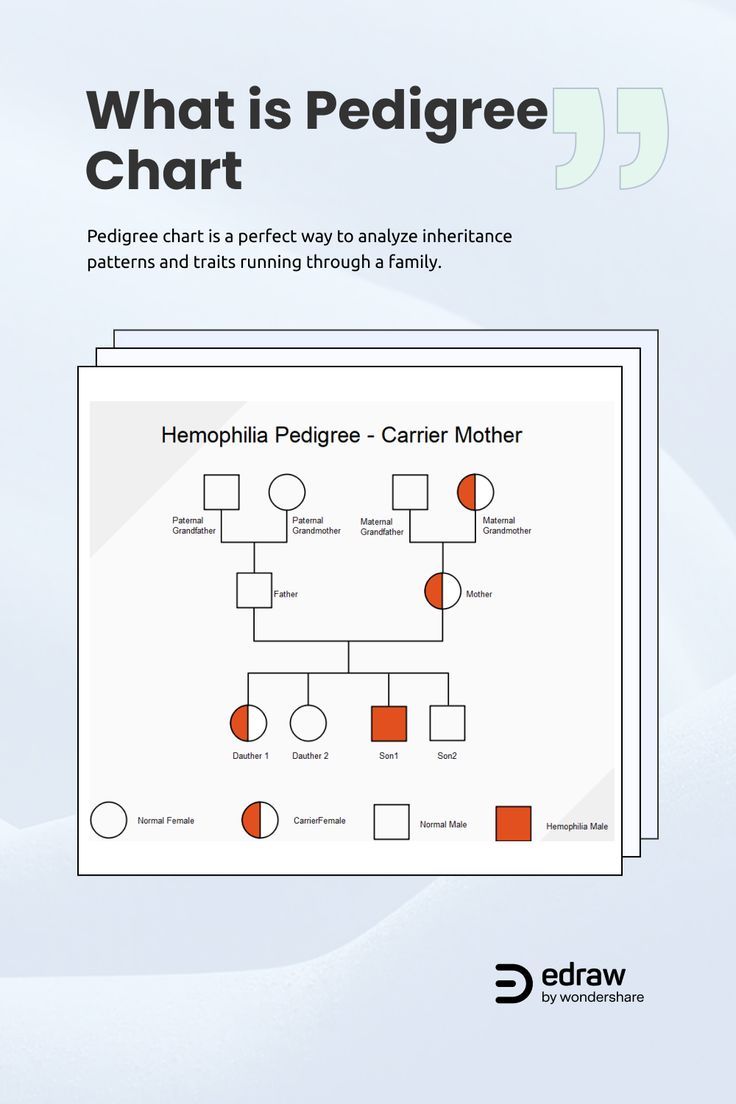 <p><span>A diagram that visually represents the family history of individuals, particularly to understand the inheritance of genetic traits or conditions</span></p>
