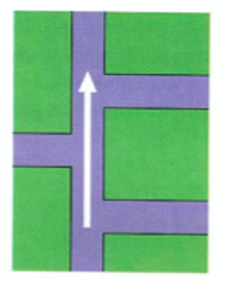 <p>to follow</p>