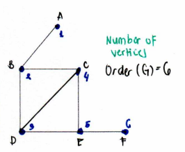 <p>the number of vertices on a graph</p>