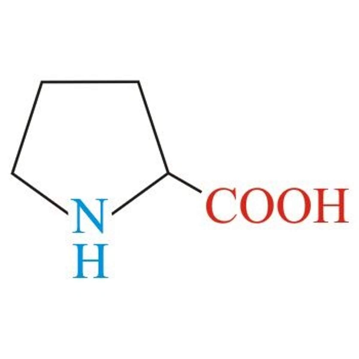 <p>Aliphatic (non-polar)</p><p>3 Carbon chain to N</p><p>Special Structure found in turns</p>