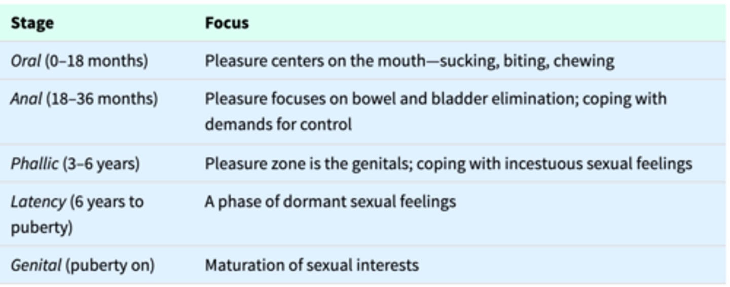 <p>1. Oral Stage (0-18mo): pleasure centers on the mouth - sucking, biting, chewing</p><p>2. Anal Stage (18-36mo): pleasure focuses on bowel and bladder elimination; coping with demands for control</p><p>3. Phallic Stage (3-6yrs): pleasure zone is the genitals; coping with incestuous sexual feelings</p><p>4. Latency Stage (6-puberty): phase of dormant sexual feelings</p><p>5. Genital Stage (puberty-): maturation of sexual interests</p>