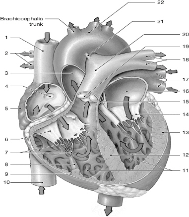 <p>18</p>