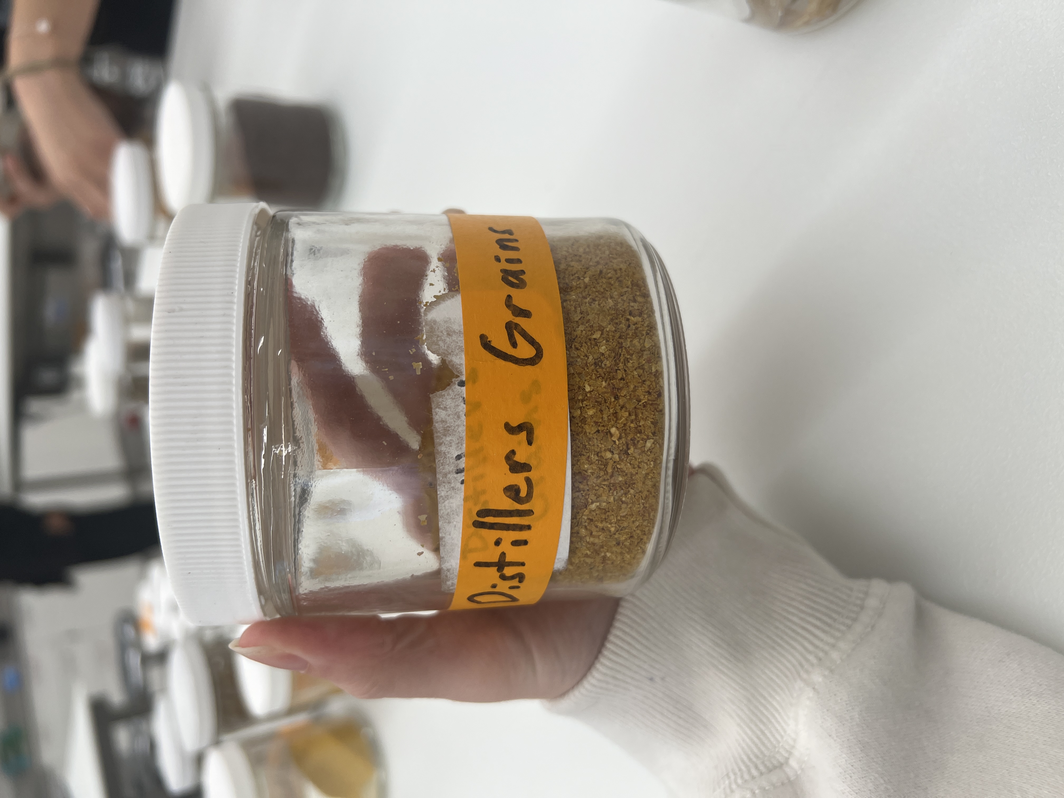 <ul><li><p>IFN # and category: 5 protein source</p></li><li><p>AAFCO category: processed grain by-product</p></li><li><p>appearance: looks like very fine pieces of yellowy flakes, very strong gross smell</p></li></ul><p></p>