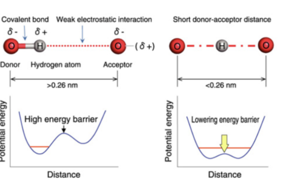 <p>name the type of hydrogen bonds on left and right </p>