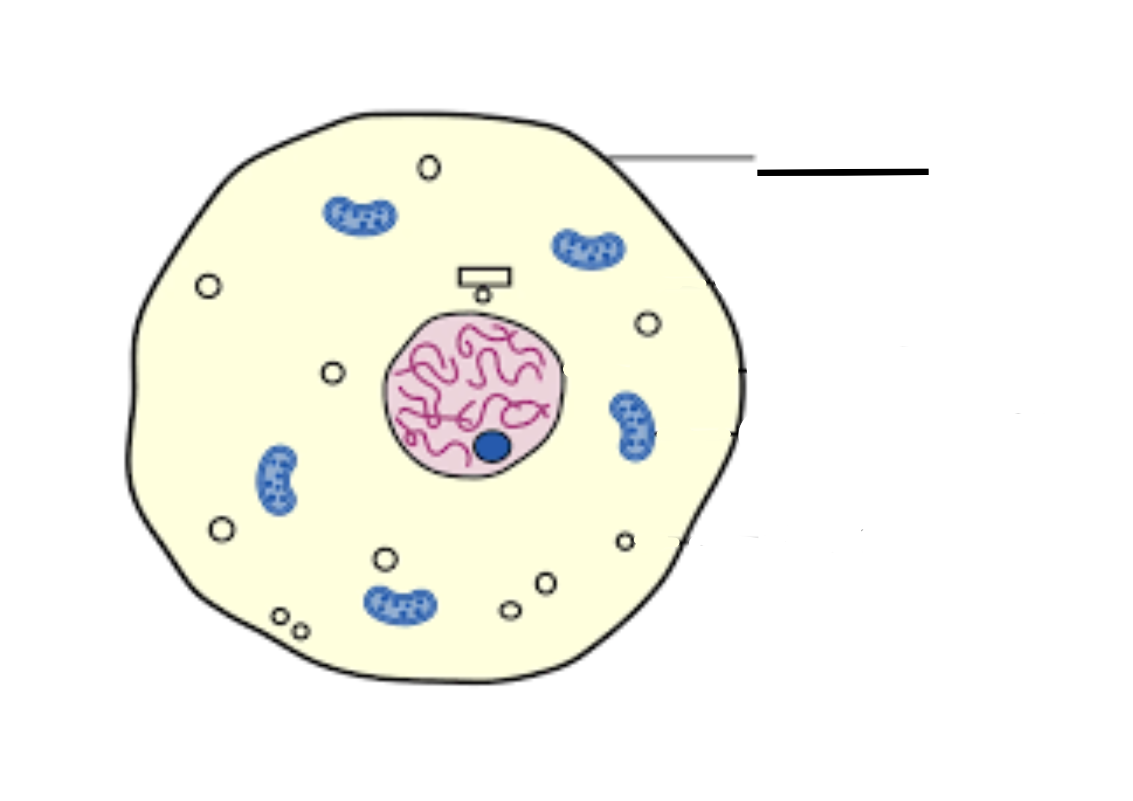 <p>What is this and its role</p>