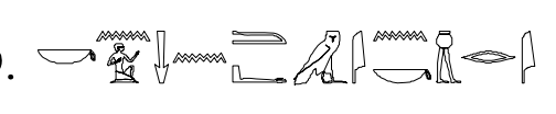 term image