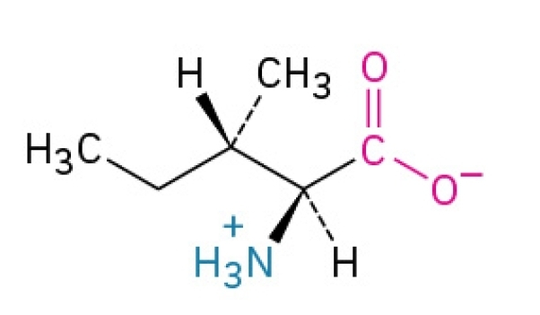 <p>Non-polar, hydrophobic, essential amino acid</p>
