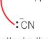 <p>cyanide ion </p>