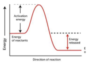 what type of reaction is shown on this reaction profile 