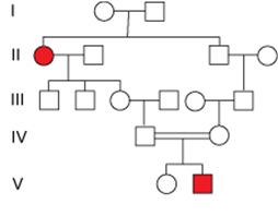 <p>What is the probability for the female of V generation to be the carrier?&nbsp;</p><p>&nbsp;</p><p>2/5</p><p>&nbsp;</p><p>2/4</p><p>&nbsp;</p><p>2/3</p><p>&nbsp;</p><p>0</p><p>&nbsp;</p><p>1</p>