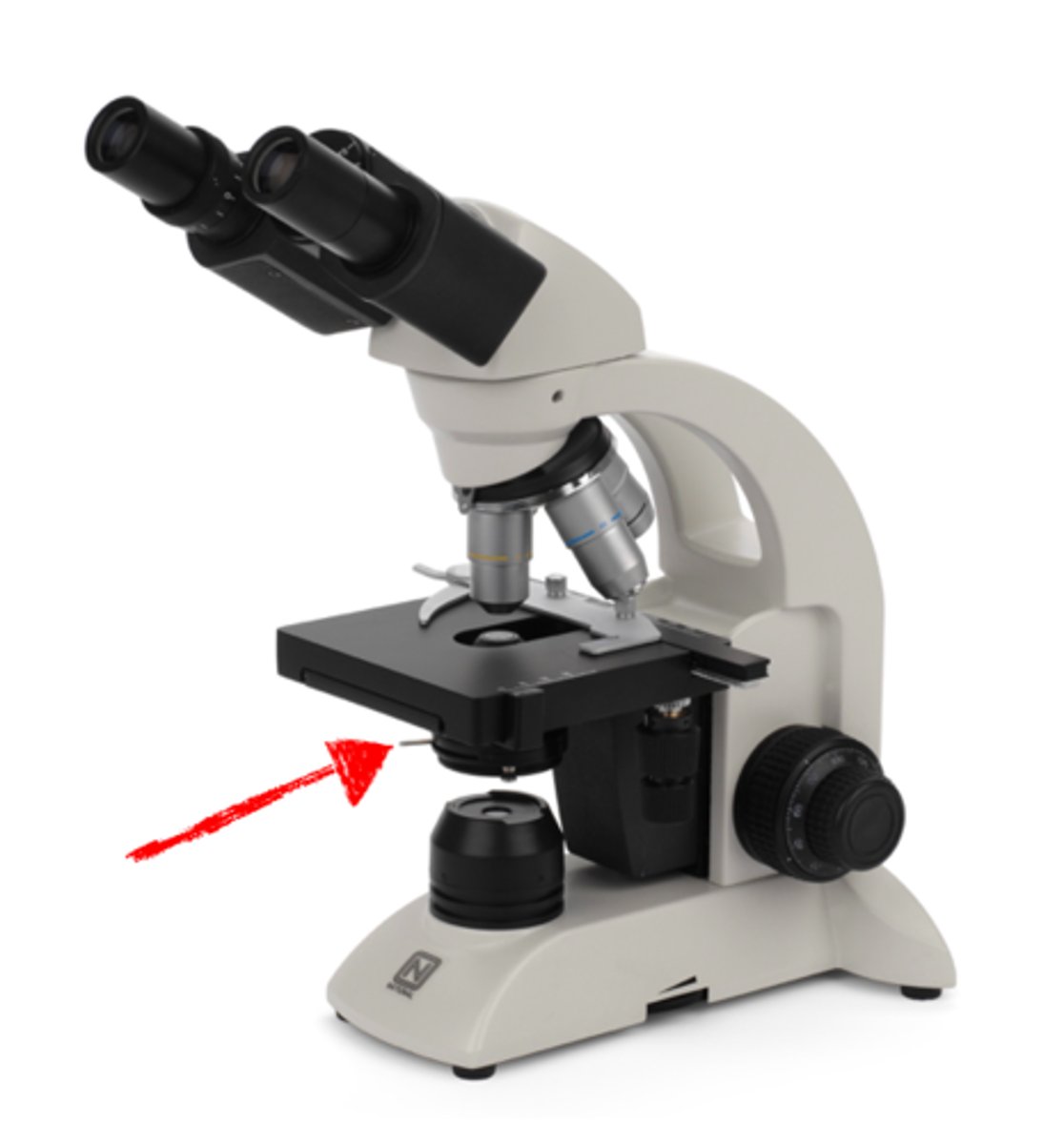 <p>controls the amount of light entering the lens system of a microscope</p>