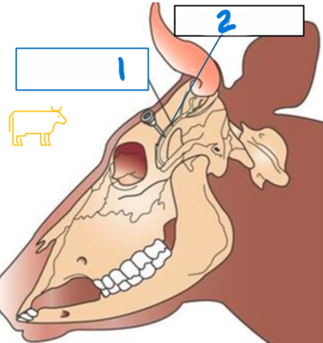 <p>What is number 2?</p>