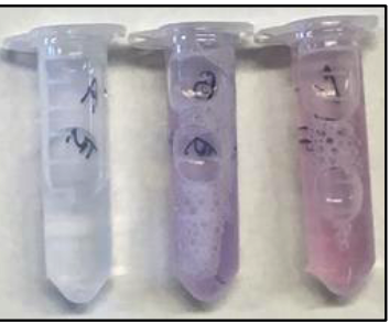 <p>middle, purple</p>