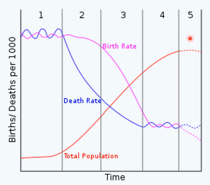 <p>phase 1: pestilence and famine</p><ul><li><p>high mortality</p></li><li><p>infectious disease</p></li><li><p>malnutrition</p></li></ul><p>phase 2: receding pandemics</p><ul><li><p>reduction in rate of infectious disease mortality</p></li></ul><p>phase 3: degenerative and man-made disease</p><ul><li><p>more non-communicable disease</p></li></ul><p>phase 4: declining CVD mortality, ageing and emerging disease</p><p>phase 5: aspired quality of life with persisting health inequalities</p><p></p>