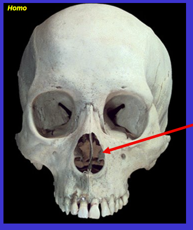<p>The arrow is…</p>