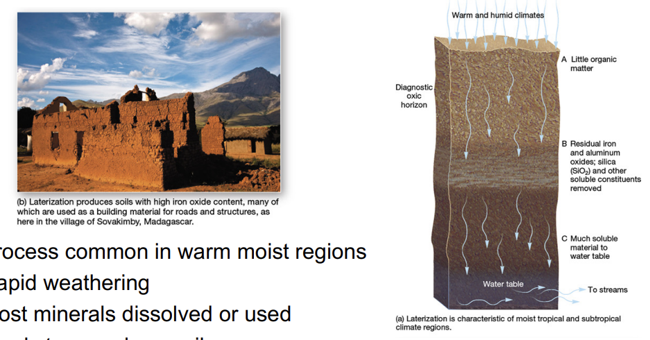 <p><strong>lateralization location and soil</strong></p>