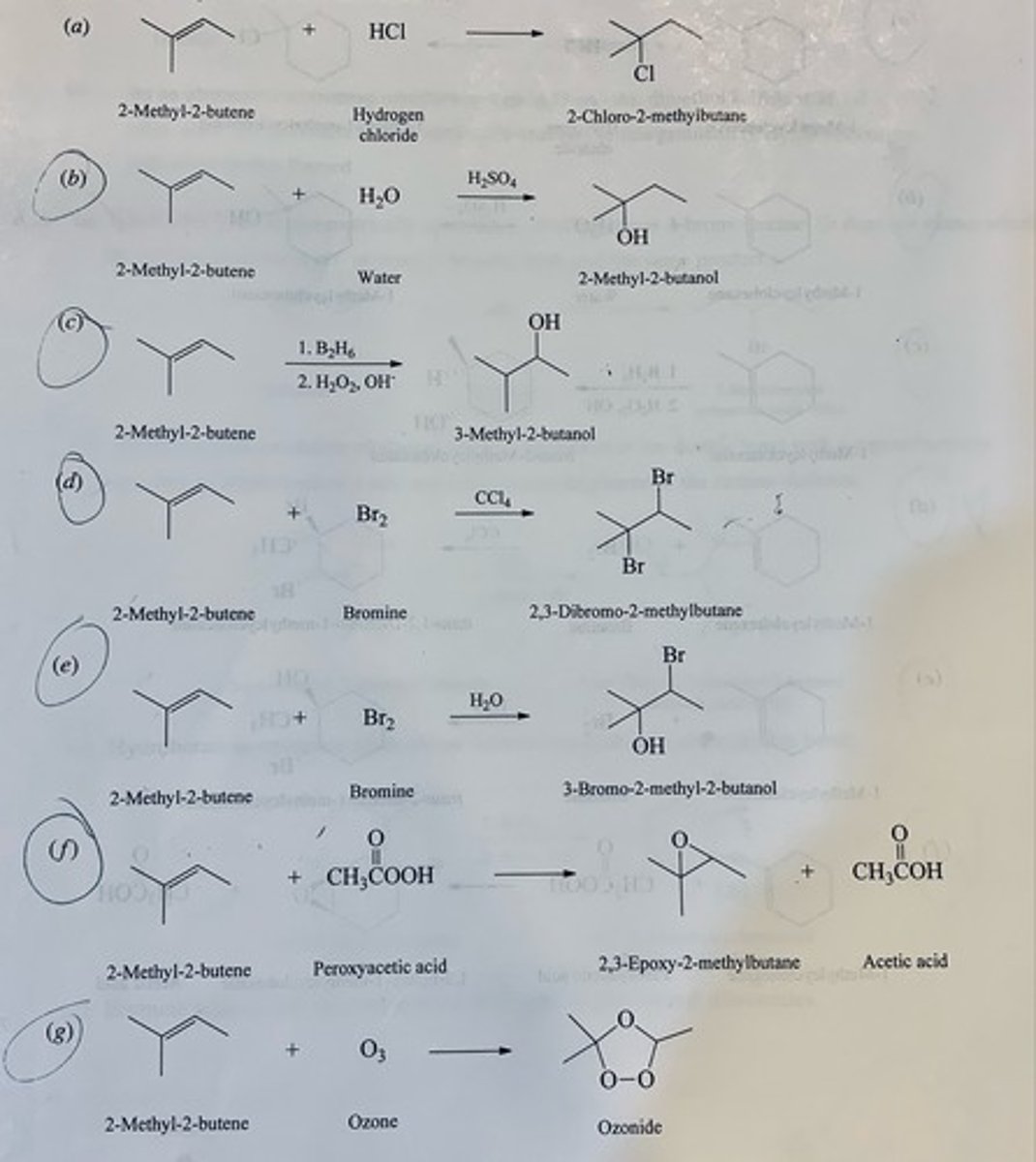 <p>(a) 2-Chloro-2-methylbutane</p><p>(b) 2-Methyl-2-butanol</p><p>(c) 3-methyl-2-butanol</p><p>(d) 2,3-Dibromo-2-methylbutane</p><p>(e) 3-Bromo-2-methyl-2-butanol</p><p>(f) 2,3-Epoxy-2-methylbutane</p><p>(g) Ozonide</p>