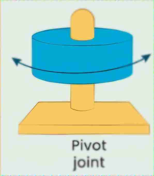 <p>What type of joint is this?</p>