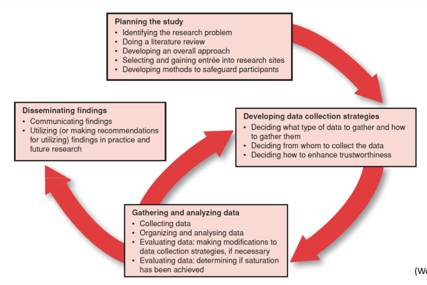<p><span><span>ACTIVITIES IN A QUAL STUDY: what does it look like</span></span></p>