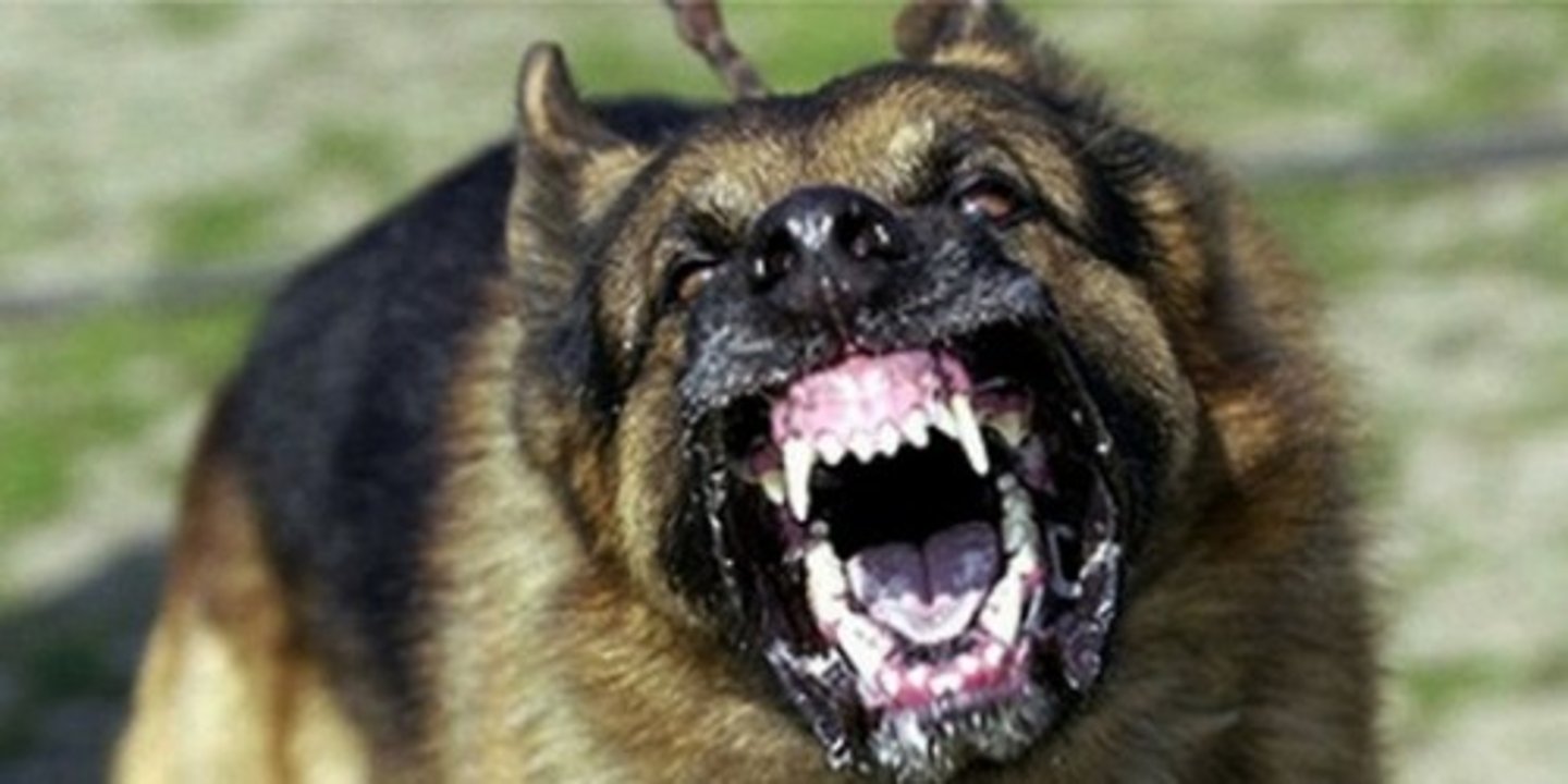 <p>aggressive, abrasive</p>