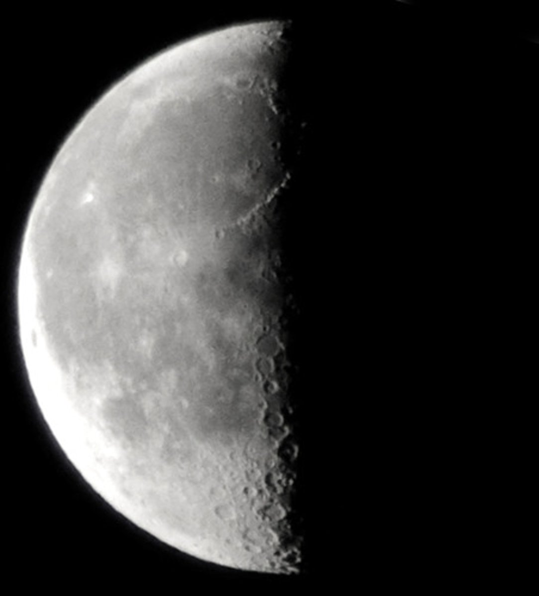 <p>A phase of the moon in which half of the illuminated side can be seen from Earth. First quarter is waxing and last quarter is waning.</p>