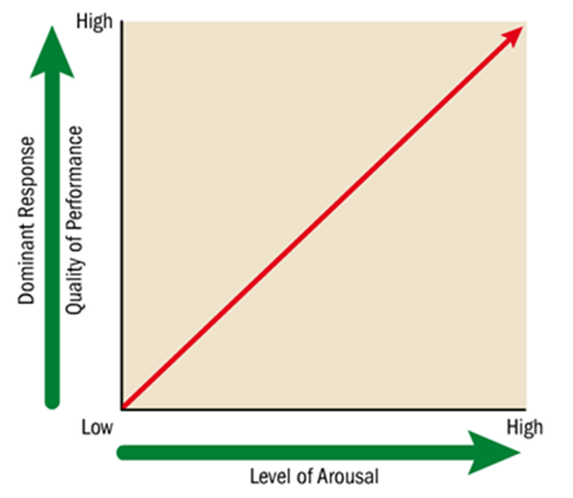 <ul><li><p><span><span>Drive theory suggests that as arousal increases so does performance</span></span></p></li><li><p><span><span>The theory suggest that as arousal increases so does performance</span></span></p></li></ul><p></p>