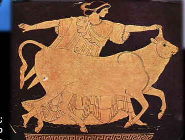 <p>Europa and the bull </p>