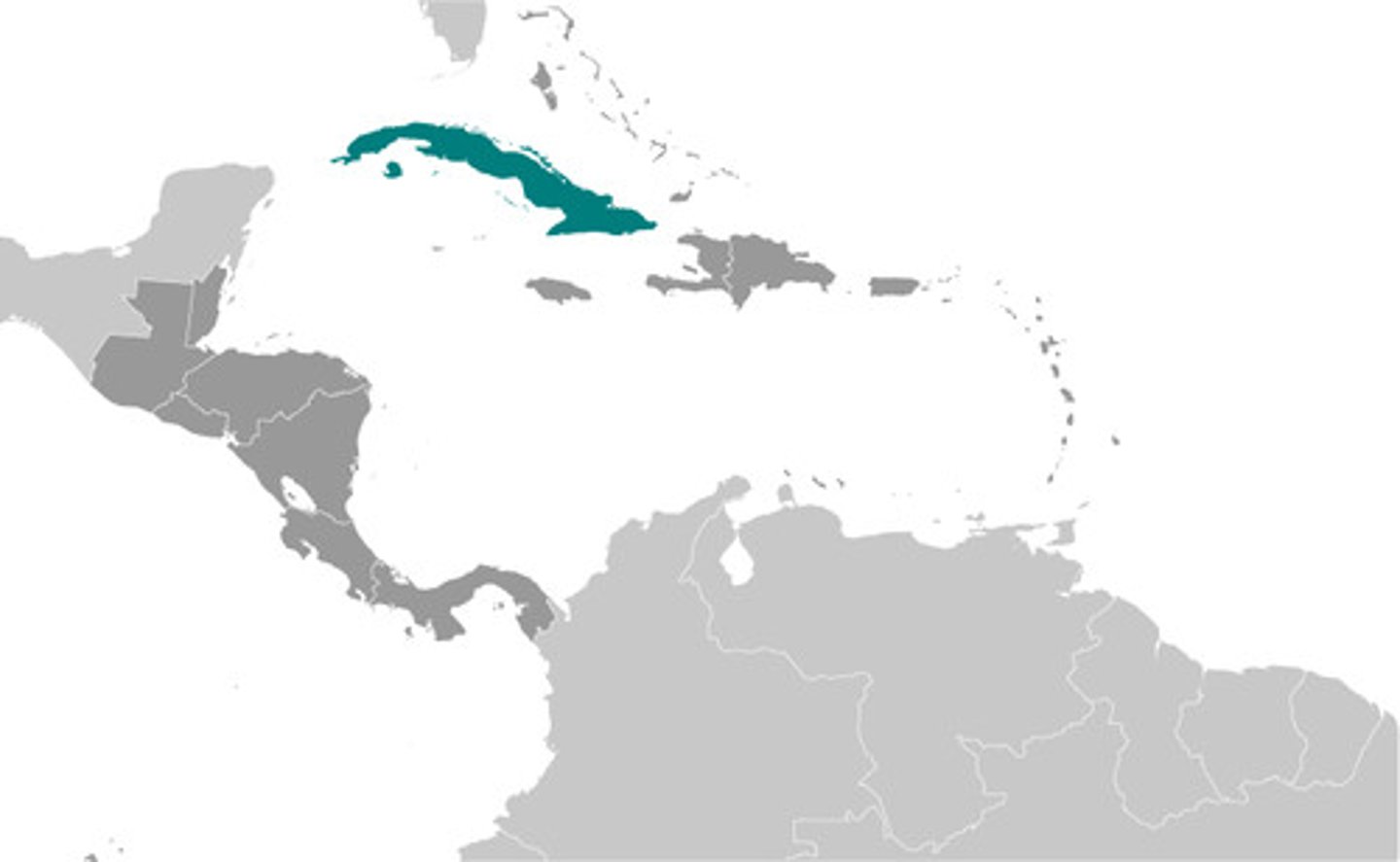 <p>Havana </p>