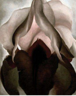 <p>Black Iris</p>
