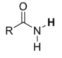 <p>Amides</p>