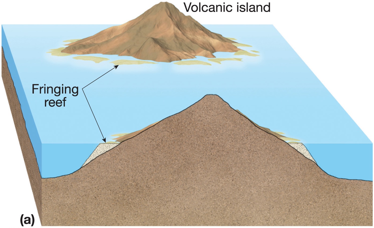 <p>around an active volcano</p>