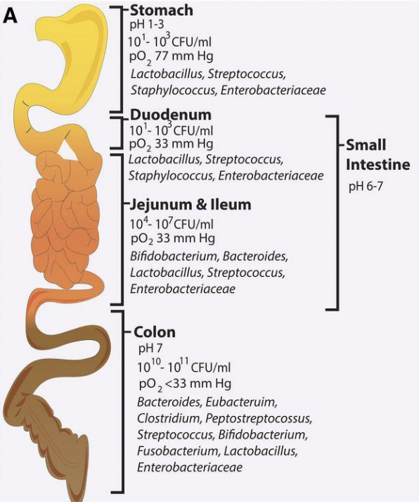 <p>varies due to environmental changes eg what you eat</p>