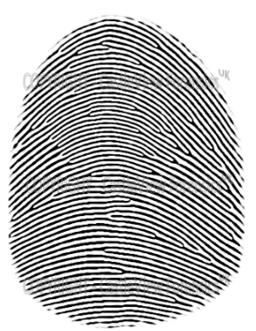 <p>enters one side, exits other side</p>