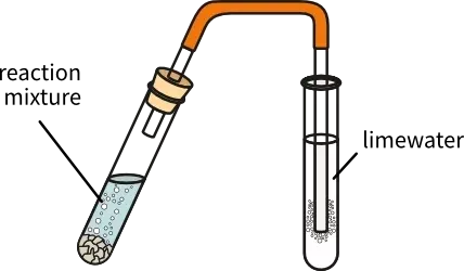 <p>add hydrochloric acid to the solution, forming bubbles. bubble these through limewater. if the limewater goes cloudy, there are CO<sub>3</sub><sup>2-</sup> anions present.</p>