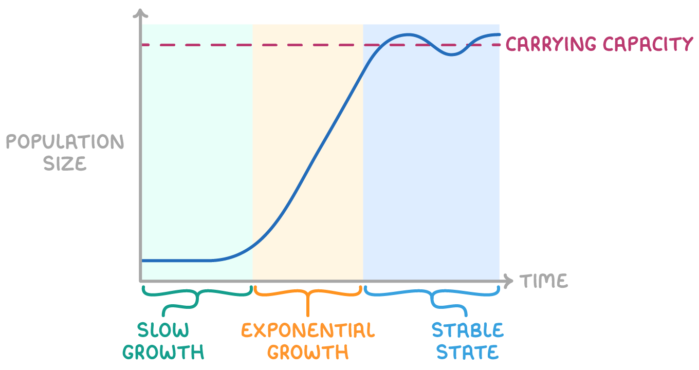 <p>the maximum stable pop size of a species an ecosystem can support</p>