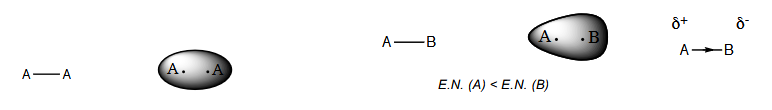 <p>Induit la déformation du nuage électronique le long des liaisons <strong>σ </strong> (polarisation des liaisons chimiques).</p>