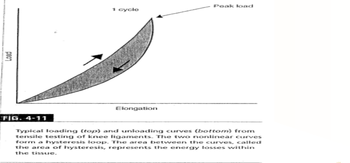 <p>What does the difference between the two curves on the hysteresis graph represent?</p>