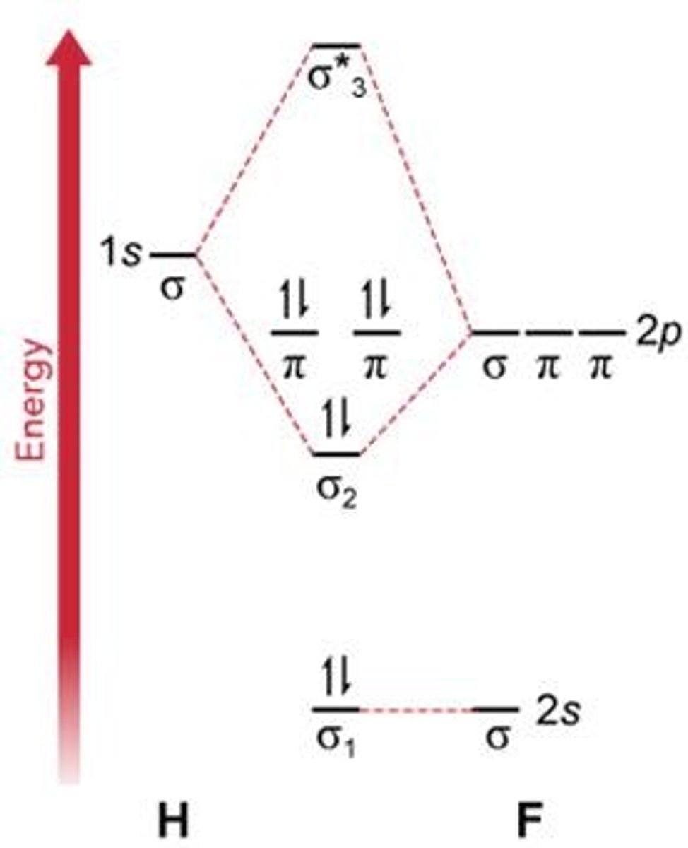 <p>The σ MO shows higher electron probability closer to fluorine.</p>