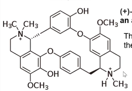 <p>nAChR antagonist</p><p></p><p>toxic alkaloid derived from the bark of the chondrodendron tometosum plant; known for its use as an arrow poison</p><p></p><p>a depolarizing neuromuscular blocing agent</p>