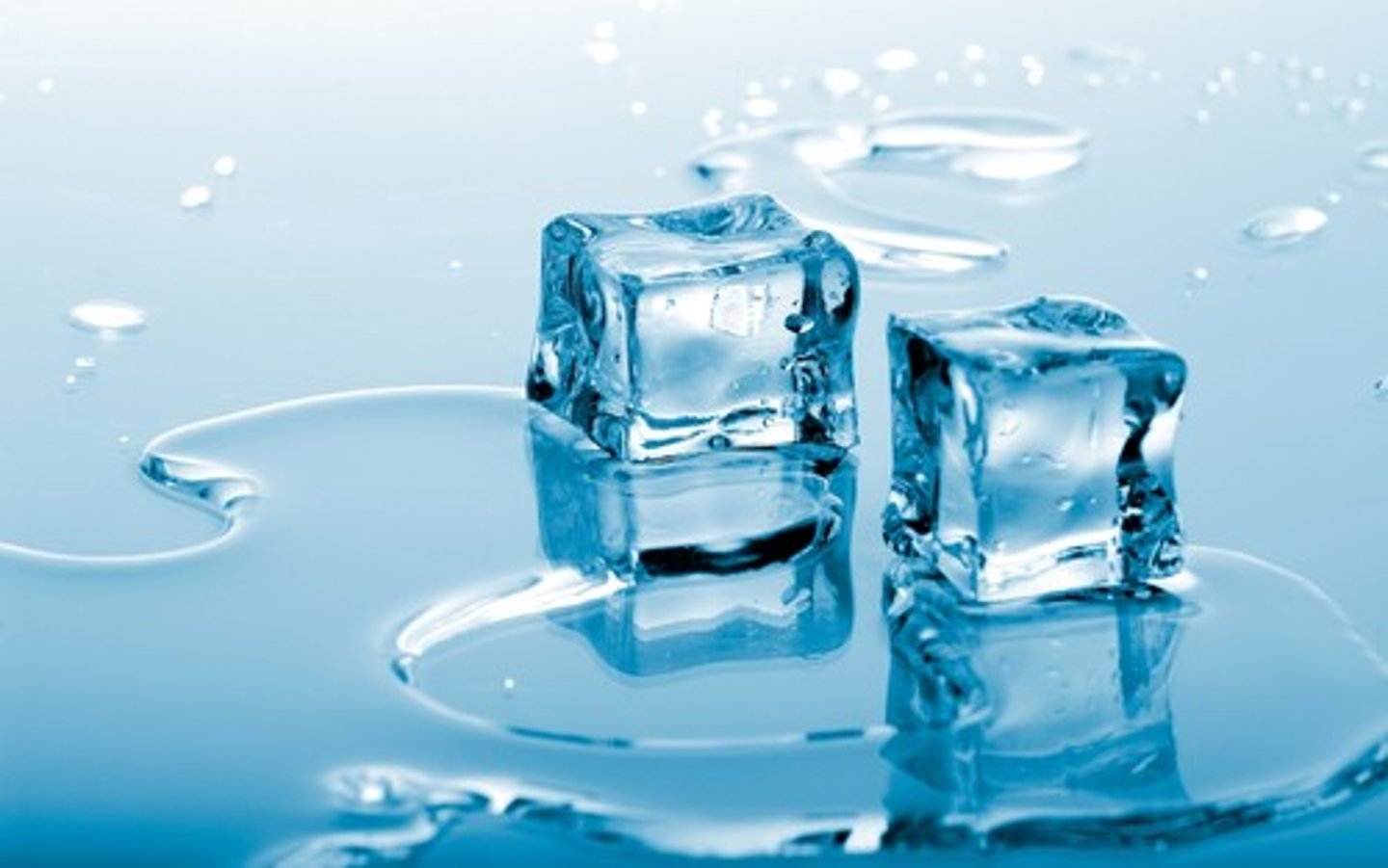 <p>- Creates an insulating barrier. Water below the ice doesn't freeze, allowing organisms to move under water</p><p>- Creates habitat for animals like polar bears on top of the ice.</p><p>- Fish can move under the water</p>