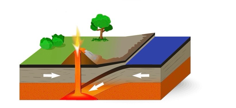 <p>One plate being forced beneath another.</p>