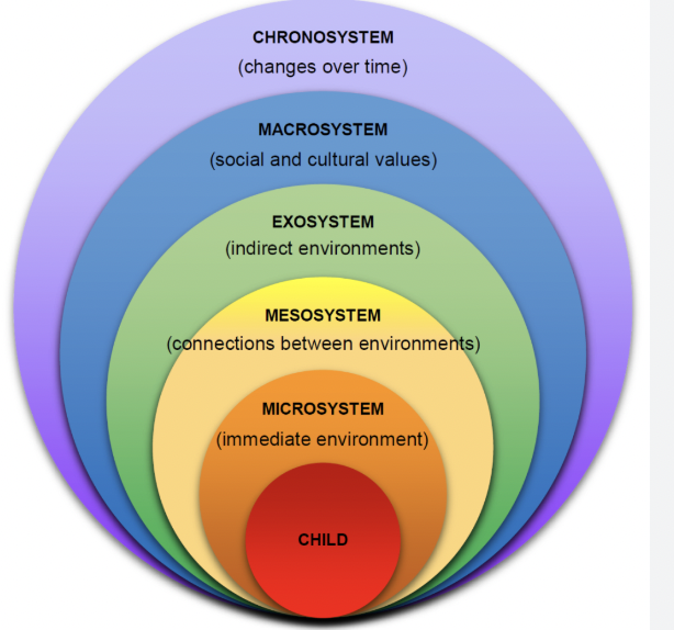 <ul><li><p><span style="background-color: transparent;">Everything in our environment affects us&nbsp;</span></p></li><li><p><span style="background-color: transparent;">Microsystem = individual interactions, immediate environment&nbsp;</span></p><ul><li><p><span style="background-color: transparent;">How individual interacts with family&nbsp;</span></p></li></ul></li><li><p><span style="background-color: transparent;">Mesosystem = connections between microsystems</span></p><ul><li><p><span style="background-color: transparent;">Child's academic progress depends on classroom and reinforcement at home&nbsp;&nbsp;</span></p></li></ul></li><li><p><span style="background-color: transparent;">Exosystem = settings that indirectly impact an individual&nbsp;</span></p><ul><li><p><span style="background-color: transparent;">Parents work schedule impacts how they show up for their child&nbsp;</span></p></li></ul></li><li><p><span style="background-color: transparent;">Macrosystem = culture in which individual lives&nbsp;</span></p><ul><li><p><span style="background-color: transparent;">High cultural standards of healthcare impact child's health&nbsp;</span></p></li></ul></li><li><p><span style="background-color: transparent;">Chronosystem = changes over time</span></p><ul><li><p><span style="background-color: transparent;">Evolution of gender roles&nbsp;</span></p></li></ul></li></ul><p></p>