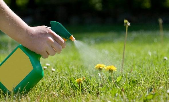 <p>herbicide /ˈhɜːbɪsaɪd/</p>