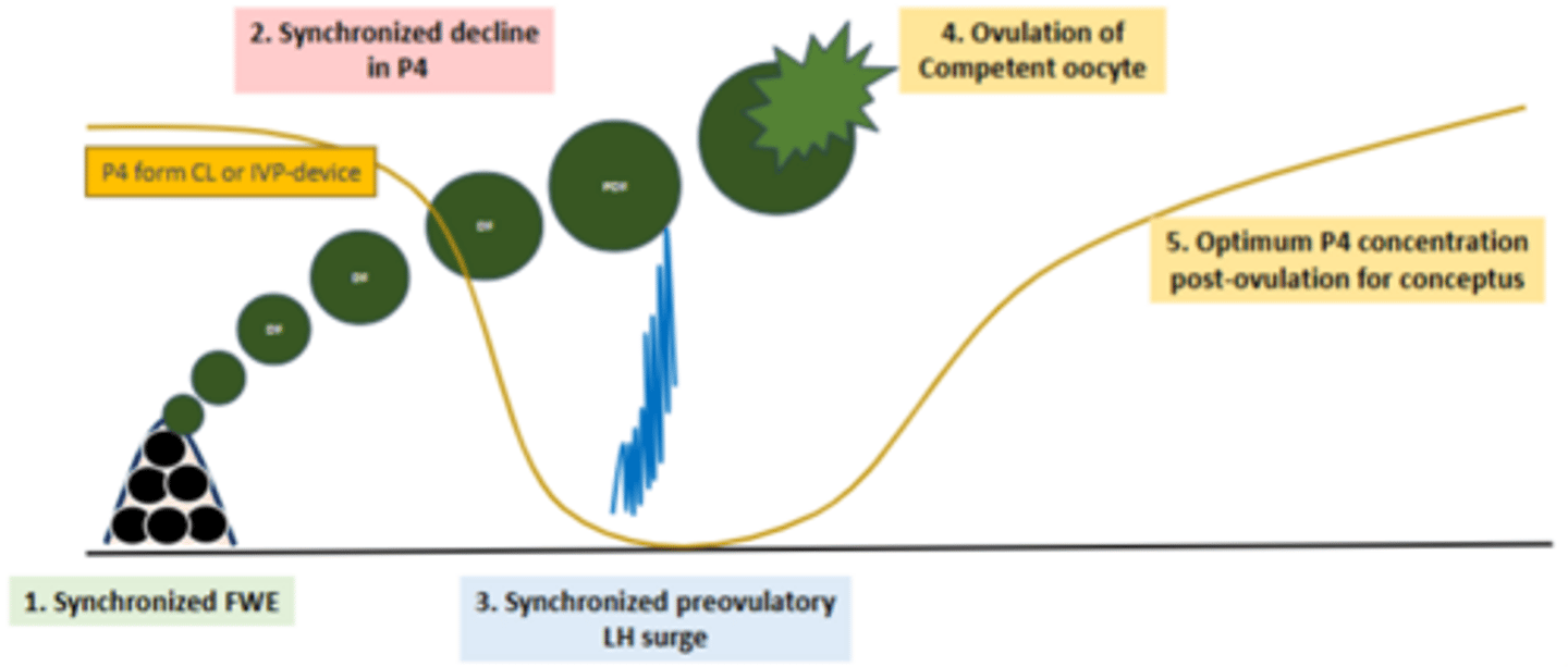 <p>i.e. GnRH forces all-sized follicles to ovulate within 24hrs.</p>