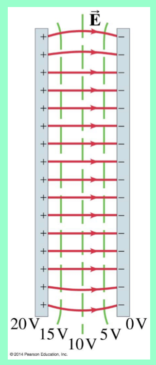 <ul><li><p>straight lines (from + to -) </p></li></ul><p></p>