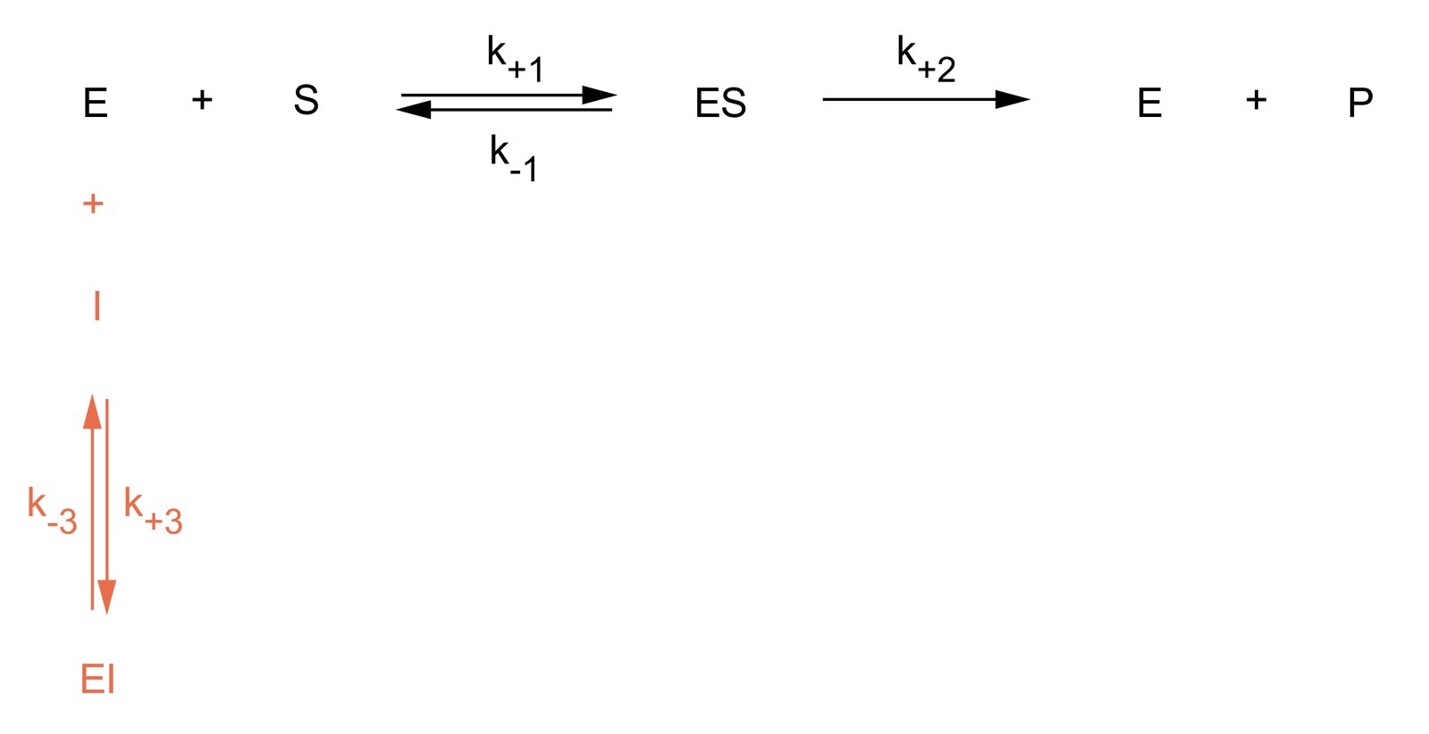 <p>B. A strong increase in substrate concentration largely abolishes the effect of the inhibitor</p>